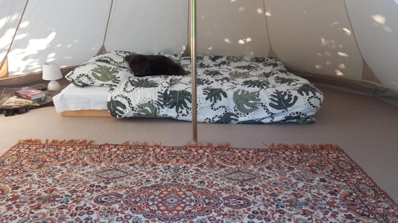 Glamping Fluffy Horns - Glempings Pukainie Ragi Hotel Plieņciems Екстериор снимка