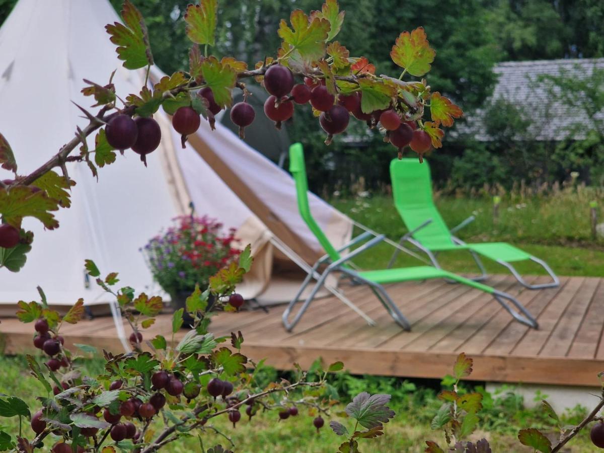 Glamping Fluffy Horns - Glempings Pukainie Ragi Hotel Plieņciems Екстериор снимка