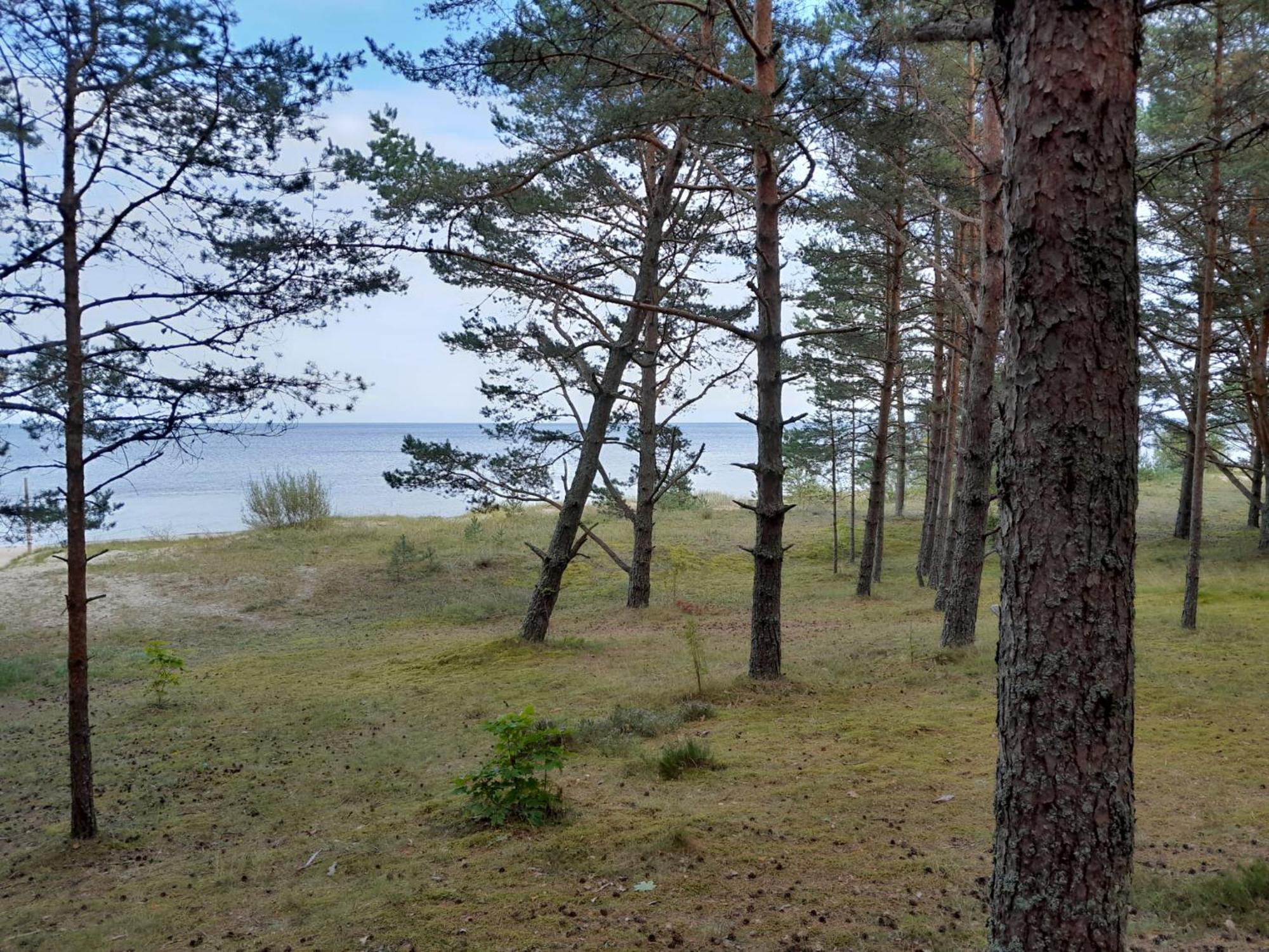 Glamping Fluffy Horns - Glempings Pukainie Ragi Hotel Plieņciems Екстериор снимка